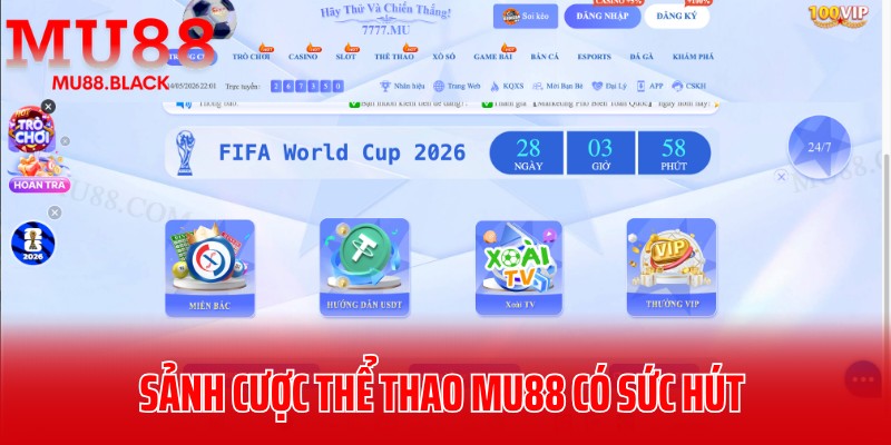 Sảnh cược thể thao MU88 có sức hút khiến nhiều người theo dõi